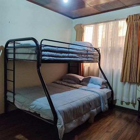 The Cozy Cactus House B&B Cartago Centro English Spoken エクステリア 写真