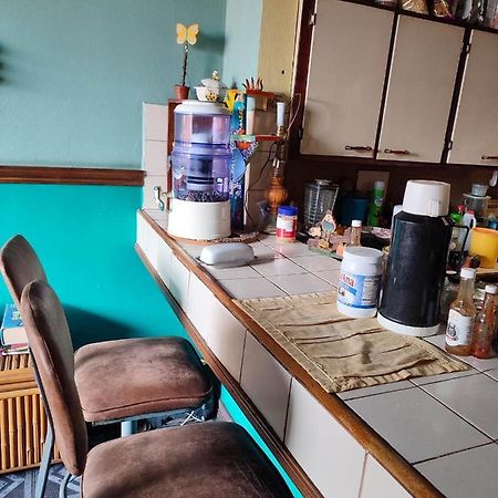 The Cozy Cactus House B&B Cartago Centro English Spoken エクステリア 写真