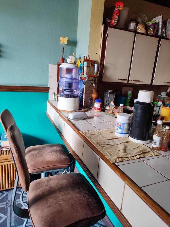 The Cozy Cactus House B&B Cartago Centro English Spoken エクステリア 写真
