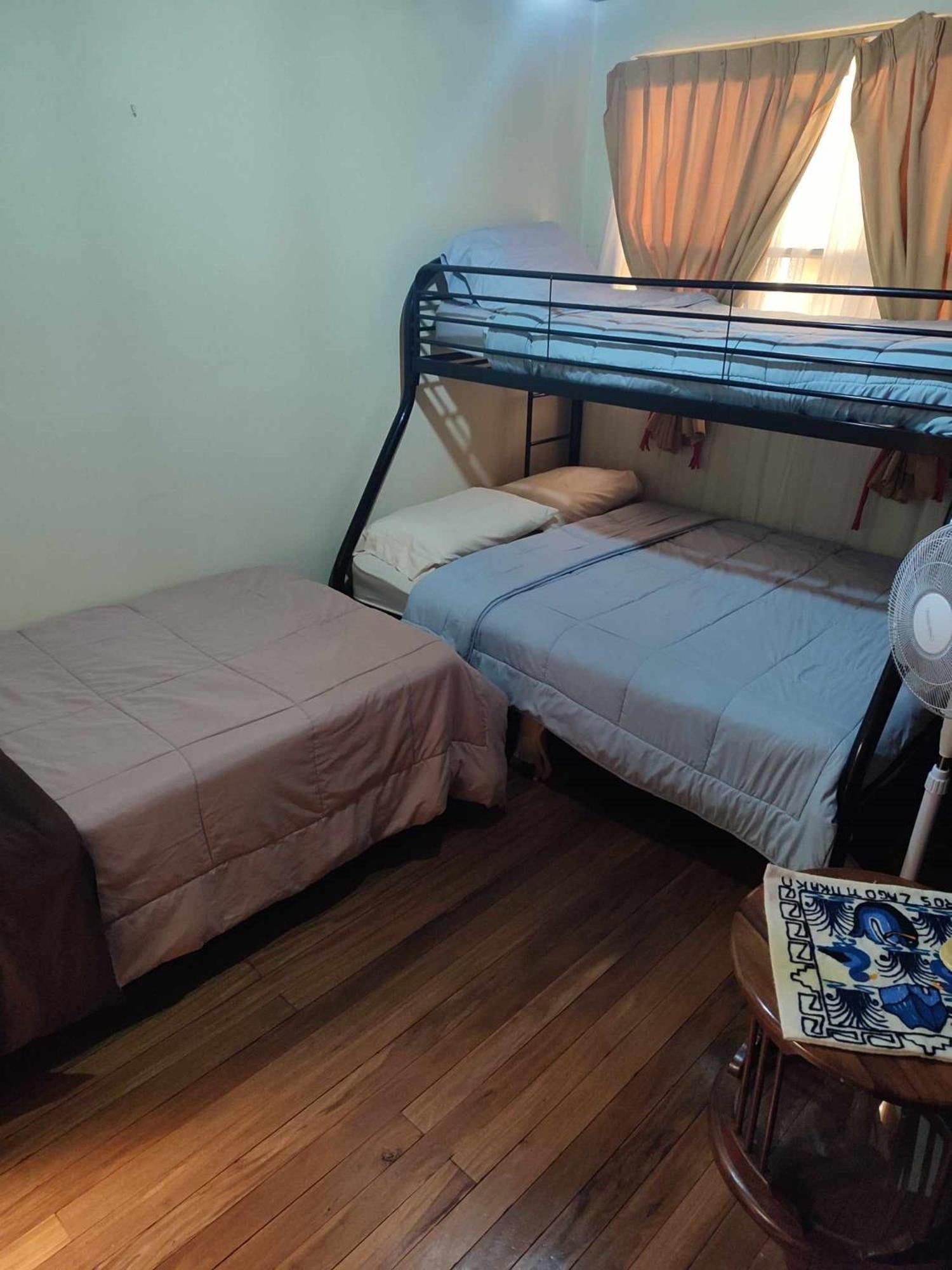 The Cozy Cactus House B&B Cartago Centro English Spoken エクステリア 写真